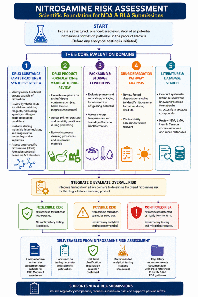 Nitrosamine Risk Assessment The Scientific Foundation Nitrosamine Risk Assessment The Scientific Foundation