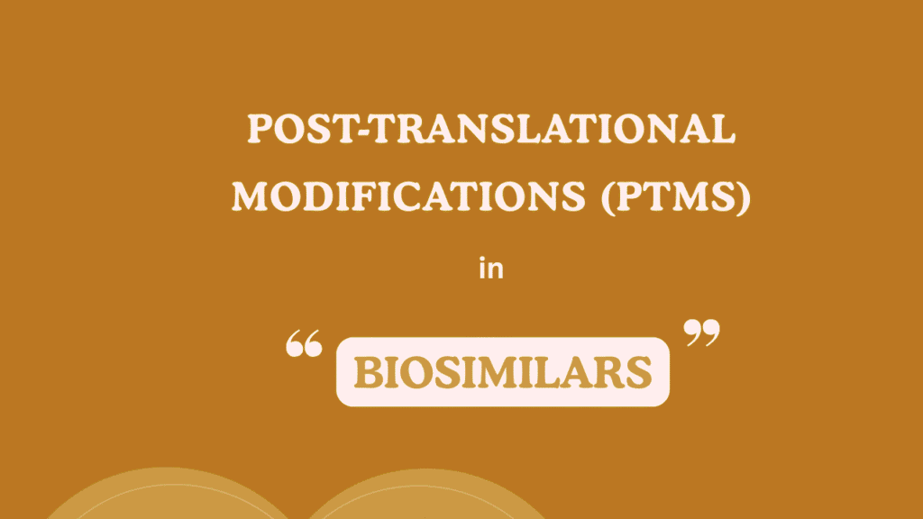 Post-Translational Modifications (PTMs) in Biosimilars