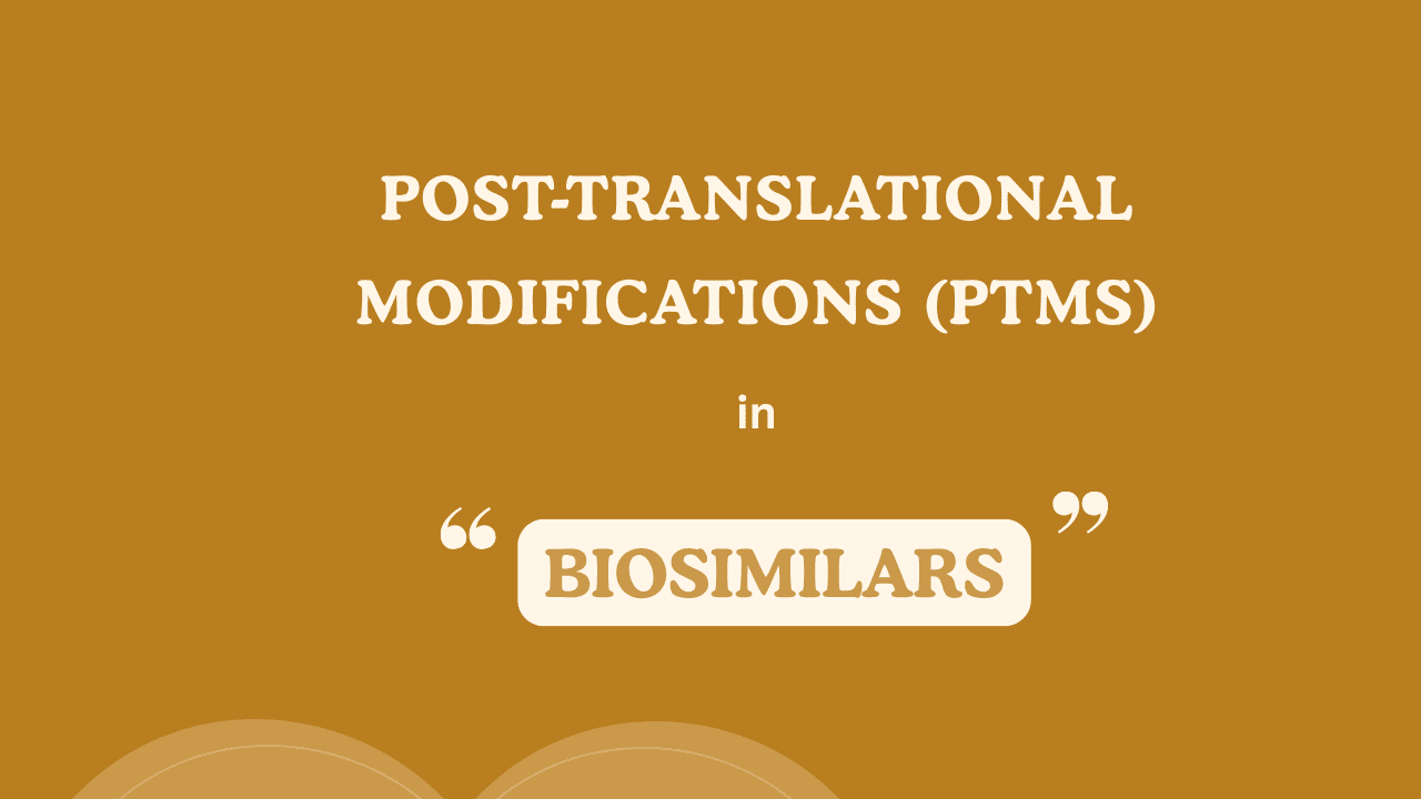 Post-Translational Modifications (PTMs) in Biosimilars