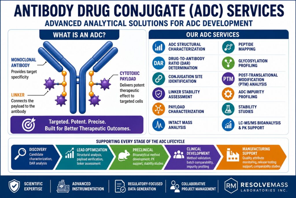 Antibody Drug Conjugate (ADC) Services