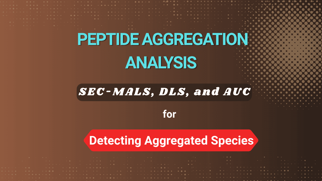 Peptide Aggregation Analysis