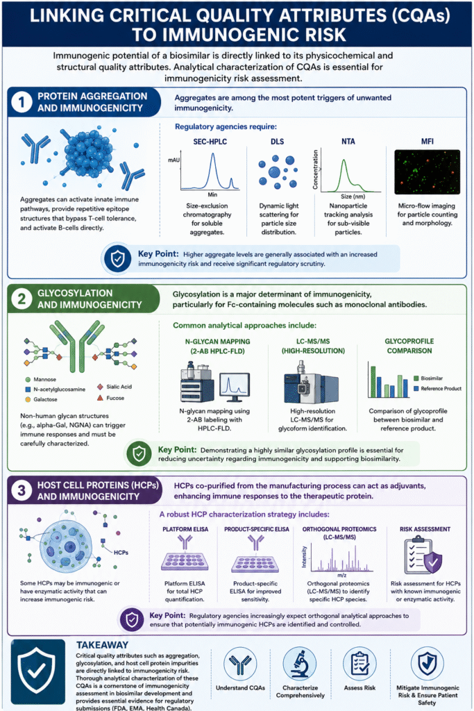 Linking Critical Quality Attributes (CQAs) to Immunogenic Risk