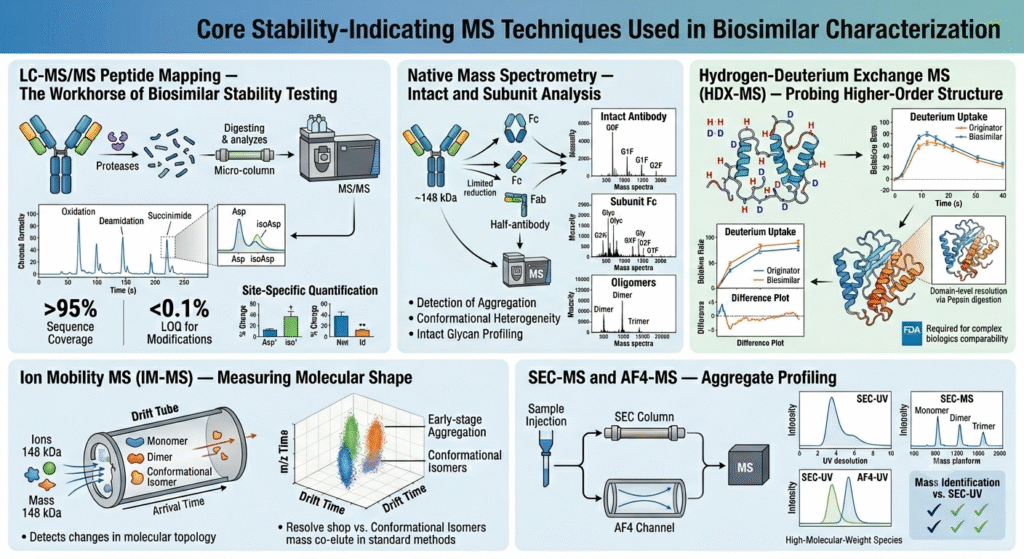 Core Stability-Indicating MS Techniques Used in Biosimilar Characterization