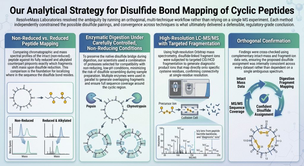 Our Analytical Strategy for Disulfide Bond Mapping of Cyclic Peptides