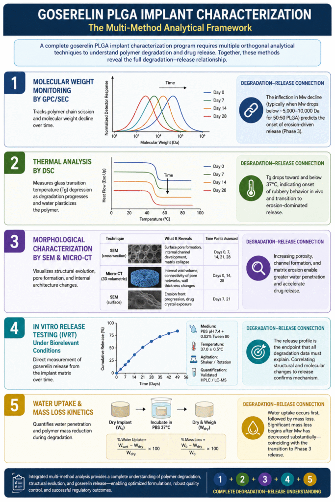 Goserelin PLGA Implant Characterization The Multi-Method Analytical Framework