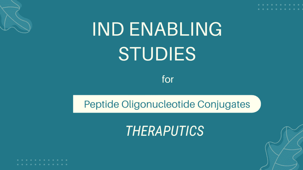IND Enabling Studies for Peptide Oligonucleotide Conjugates