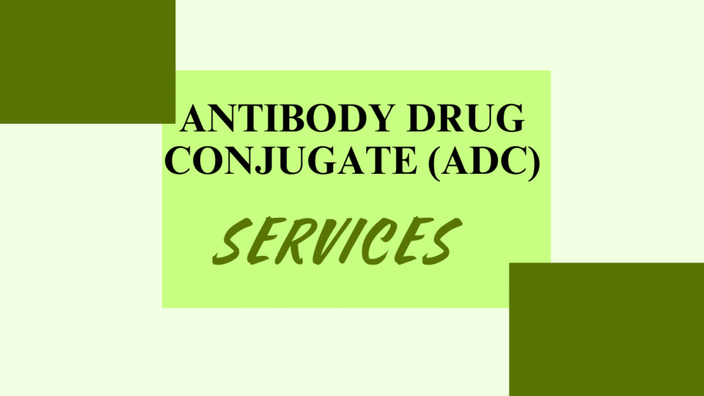 Antibody Drug Conjugate (ADC) Services