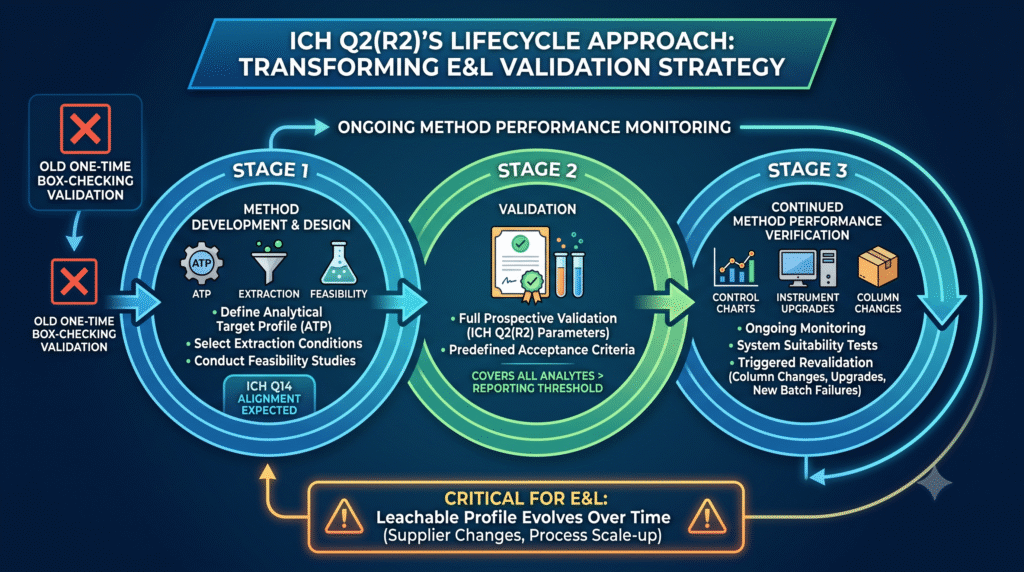 How ICH Q2(R2)'s Lifecycle Approach Changes E&L Validation Strategy