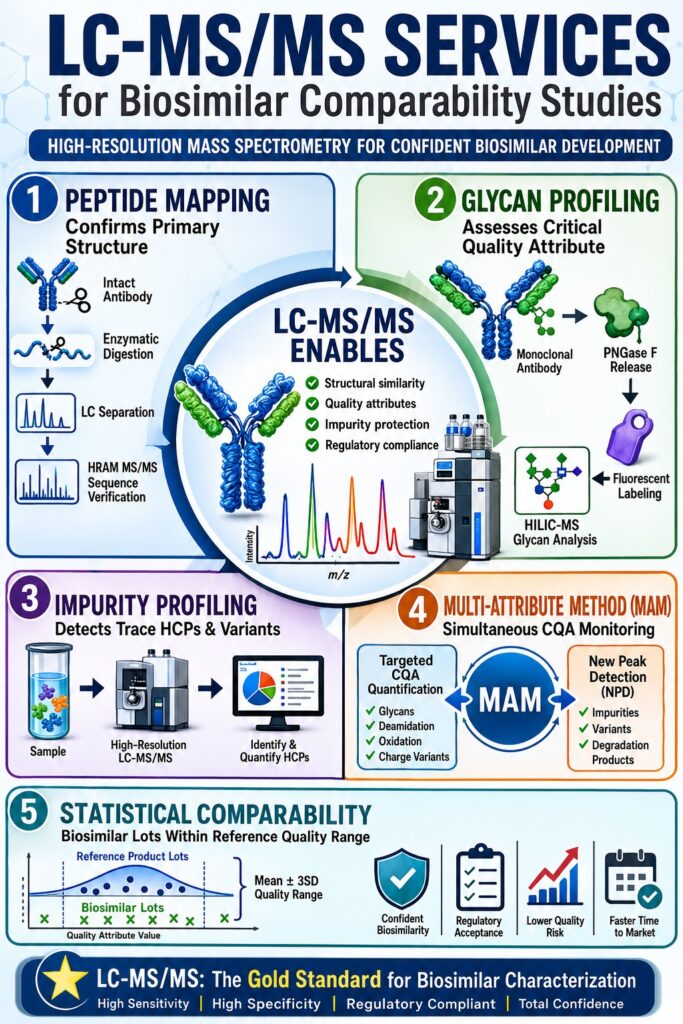 LC-MS/MS Services for Biosimilar