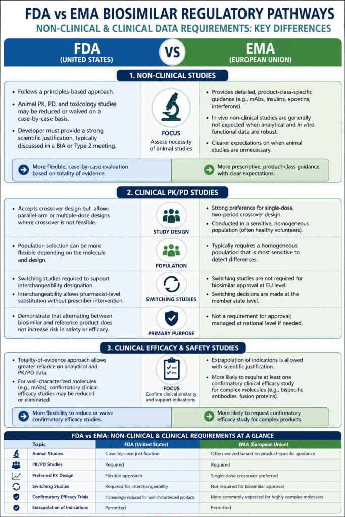 Non-Clinical and Clinical Data Requirements Key Differences