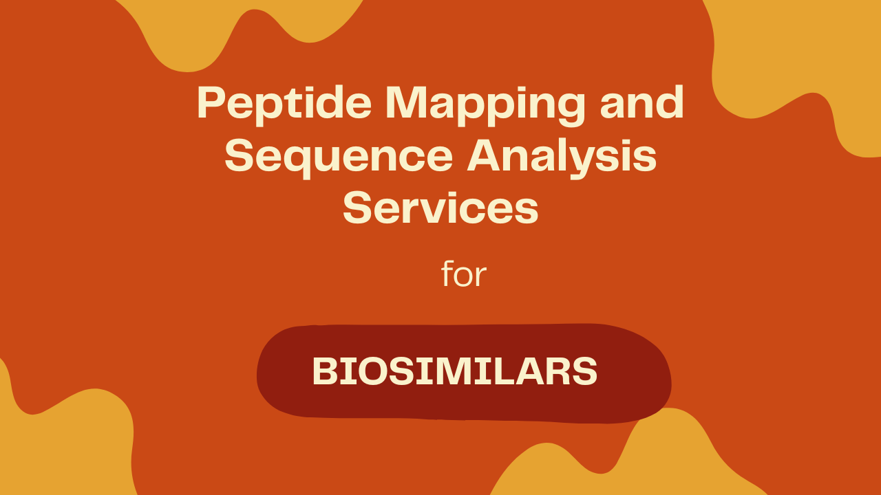 Peptide Mapping and Sequence Analysis