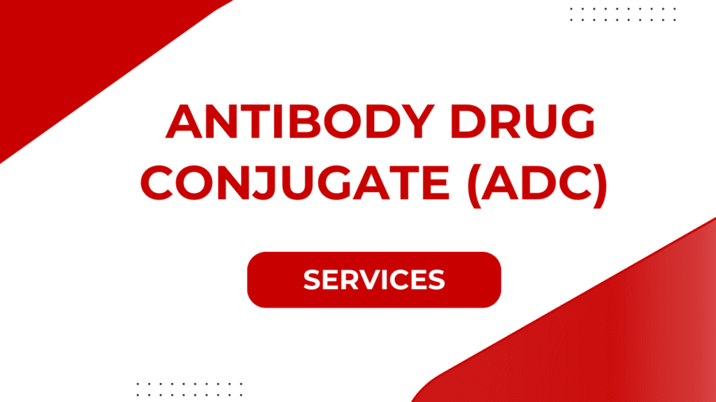 Antibody Drug Conjugate (ADC) Services
