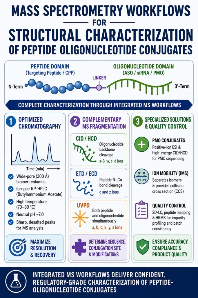 Structural Characterization of Peptide Oligonucleotide Conjugates
