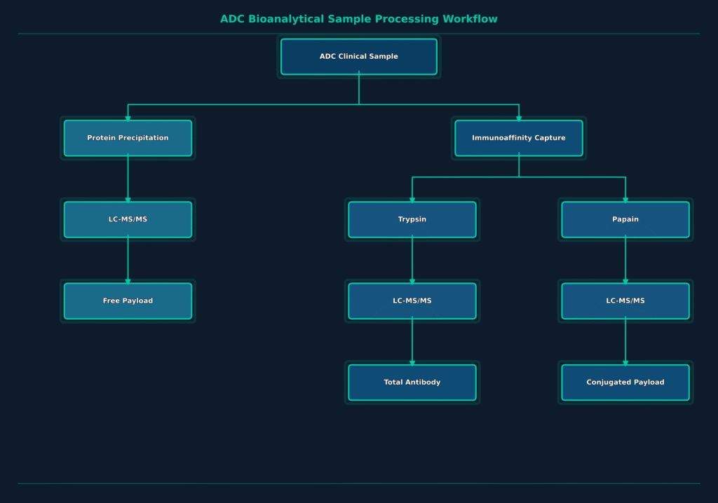 Advanced Modality Testing by a Bioanalytical CRO