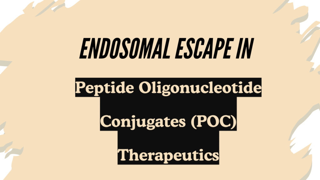 Endosomal Escape in Peptide Oligonucleotide Conjugates (POC) Therapeutics