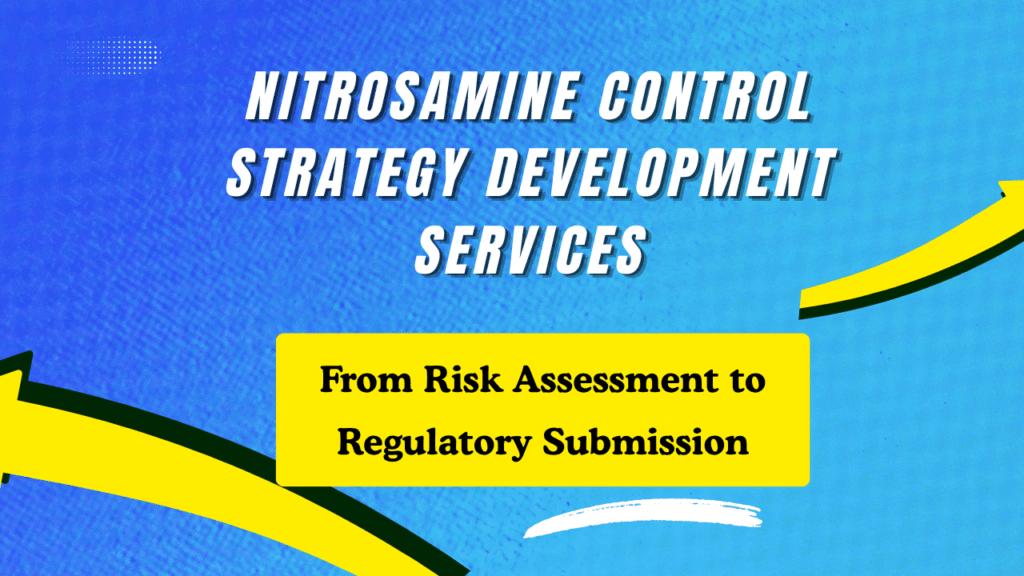 Nitrosamine Control Strategy Development Services