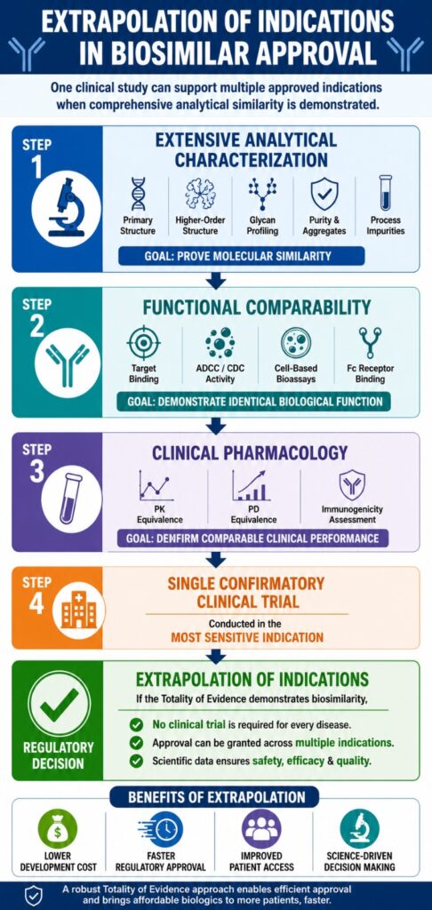 Extrapolation of Indications in Biosimilar Approval
