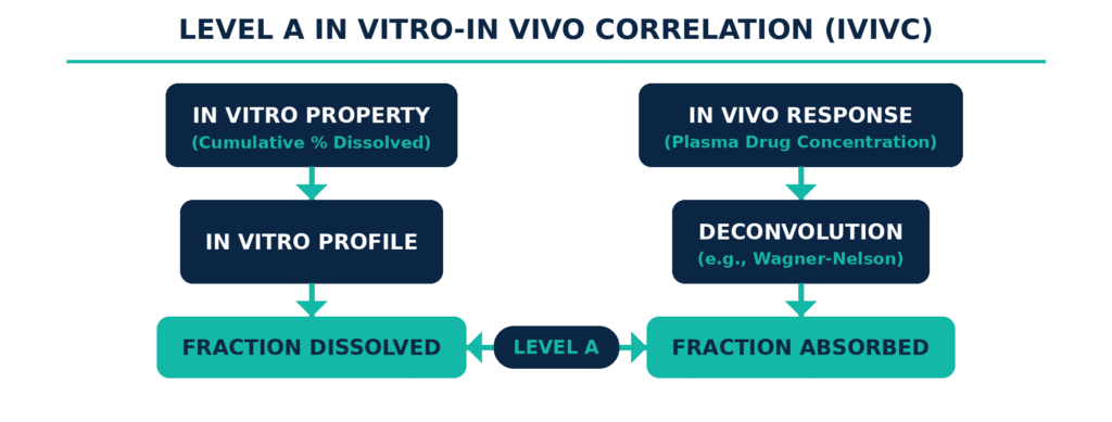 Mathematical Surrogation: Establishing In Vitro-In Vivo Correlation (IVIVC)