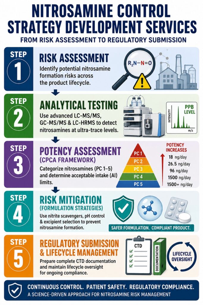 Nitrosamine Control Strategy Development Services