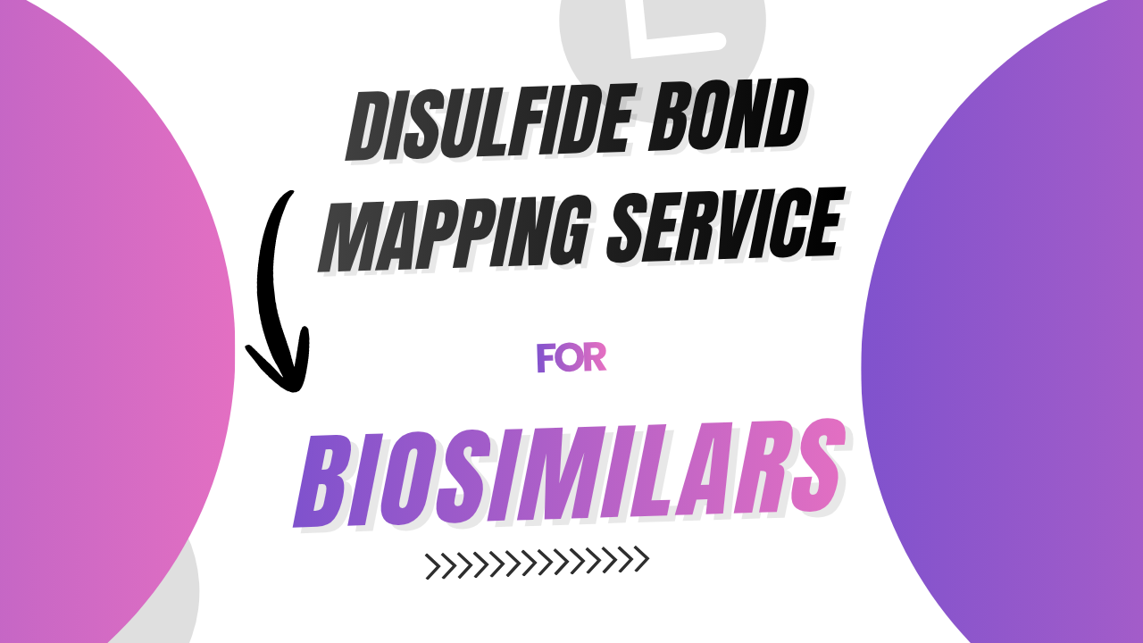 Disulfide Bond Mapping Service for Biosimilars