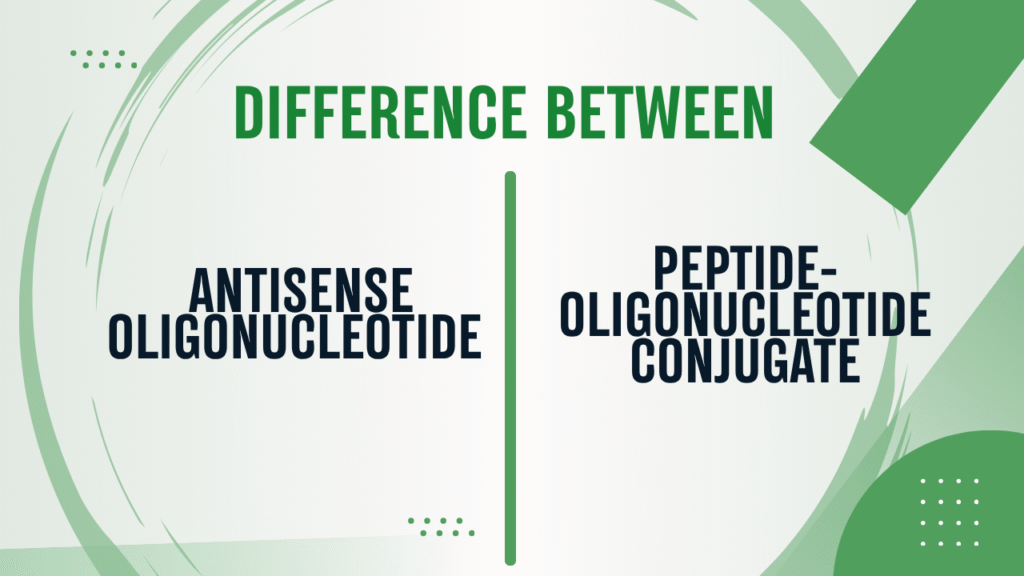 What Is the Difference Between an Antisense Oligonucleotide and a Peptide-Oligonucleotide Conjugate?