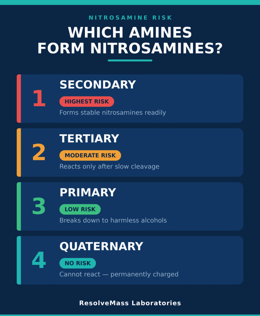 Amine Vulnerability Evaluations within Nitrosamine Control Strategy Development Services