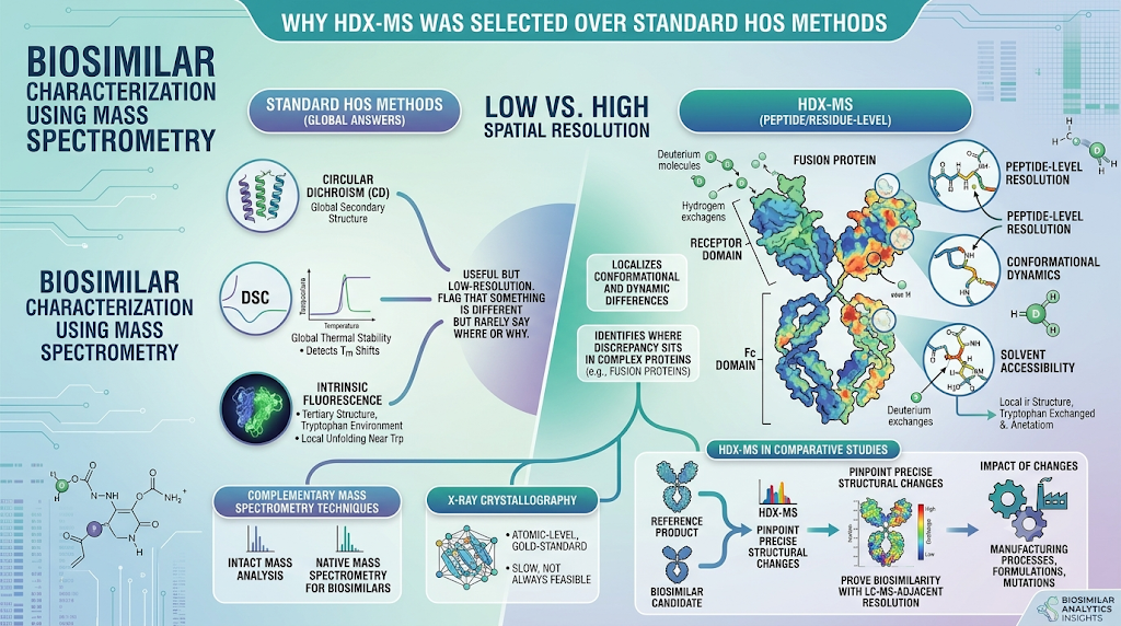 Why HDX-MS Was Selected Over Standard HOS Methods
