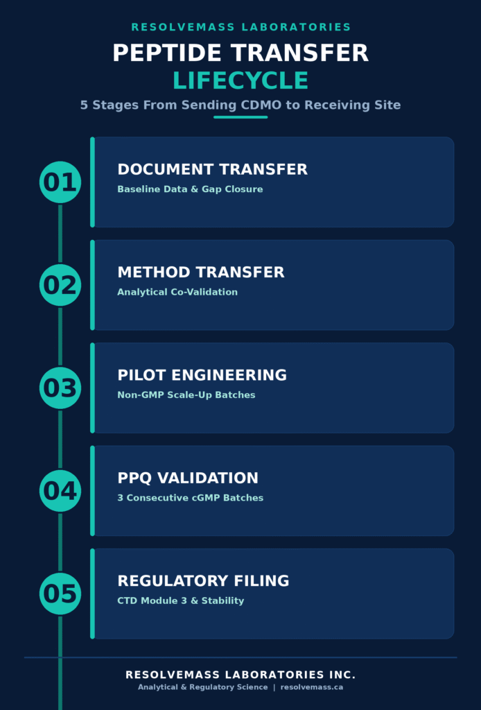Step-by-Step Lifecycle of the Transfer Protocol