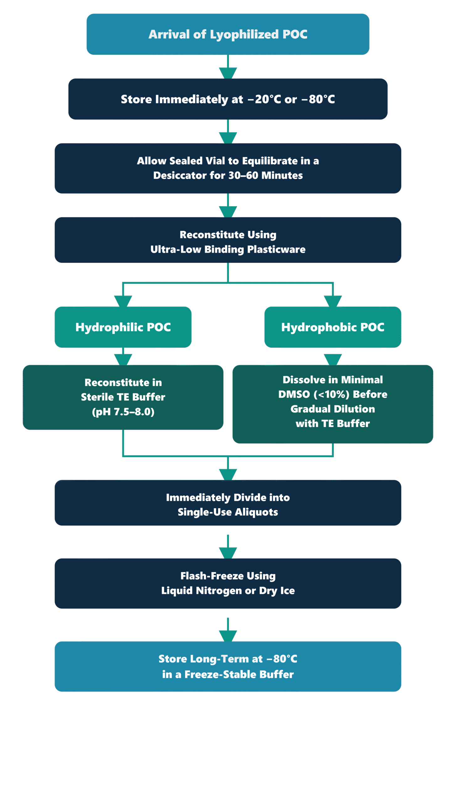 Handling and Storage for Peptide-Oligonucleotide Conjugates