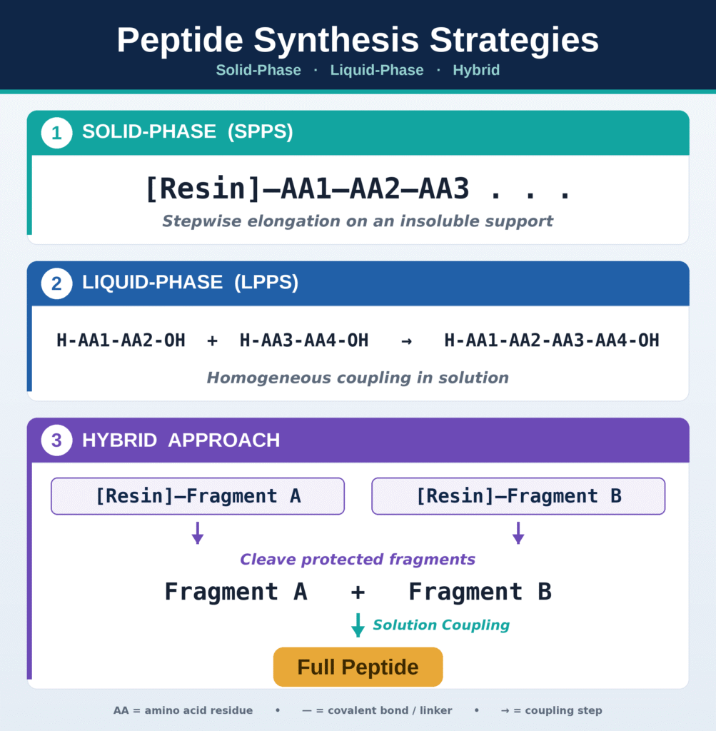 Comparative Mechanics of Solid-Phase vs Liquid-Phase vs Hybrid Peptide Synthesis