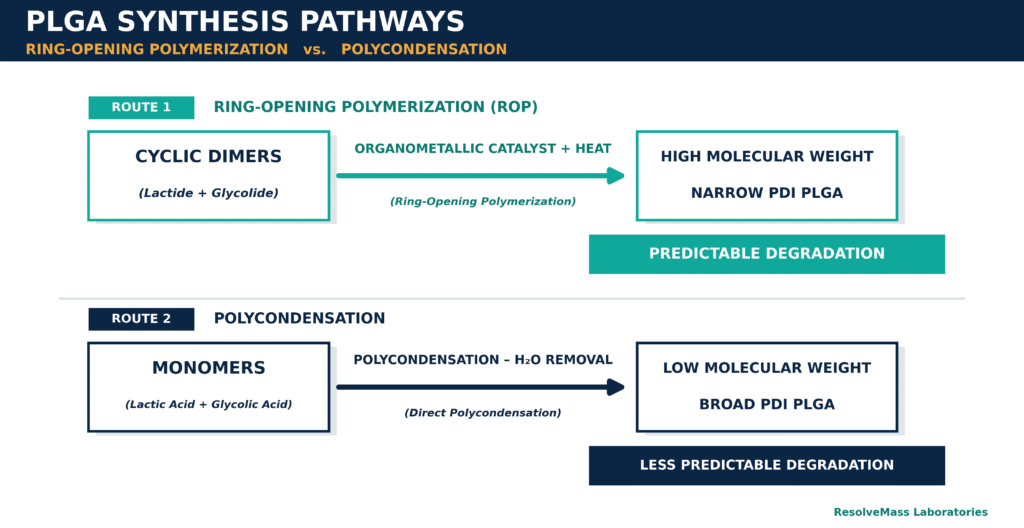 Synthesis Mechanisms of High-Performance PLGA