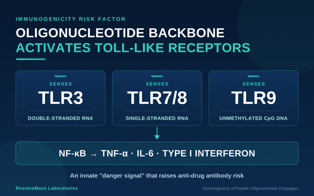 Oligonucleotide Backbone Structure and Toll-Like Receptor Activation