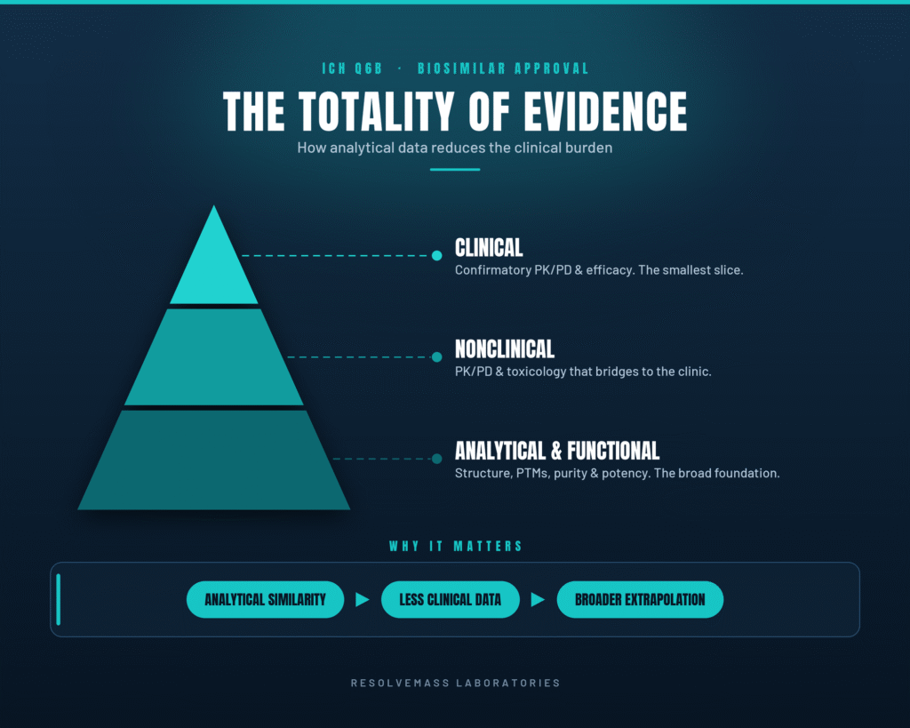 Totality of the Evidence and Biosimilar Extrapolation