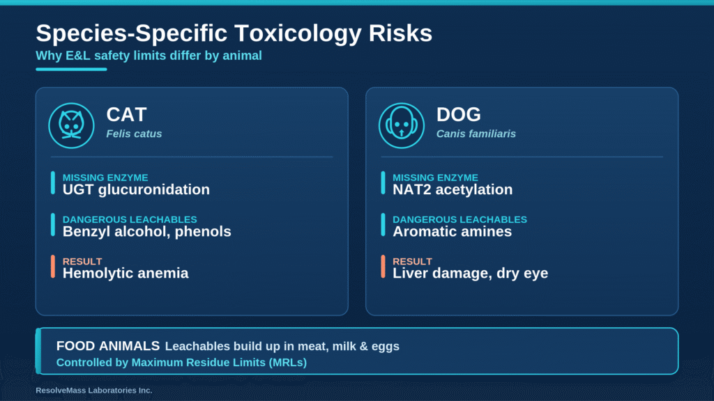 Species-Specific Toxicological Risks and Target Animal Safety