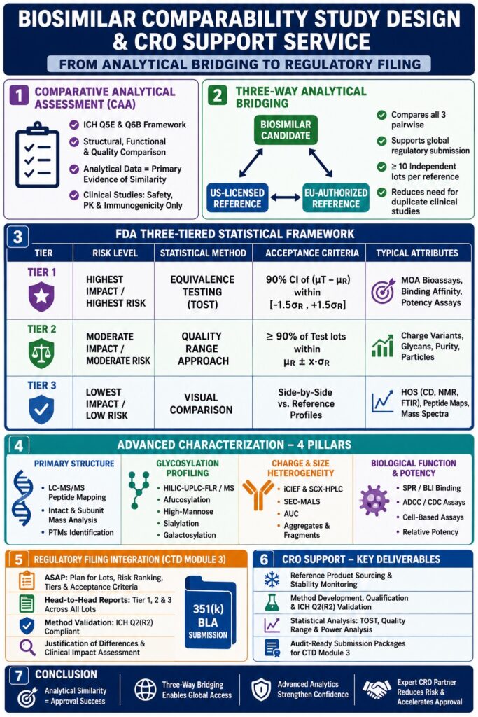 Biosimilar Comparability Study Design and CRO Support Service