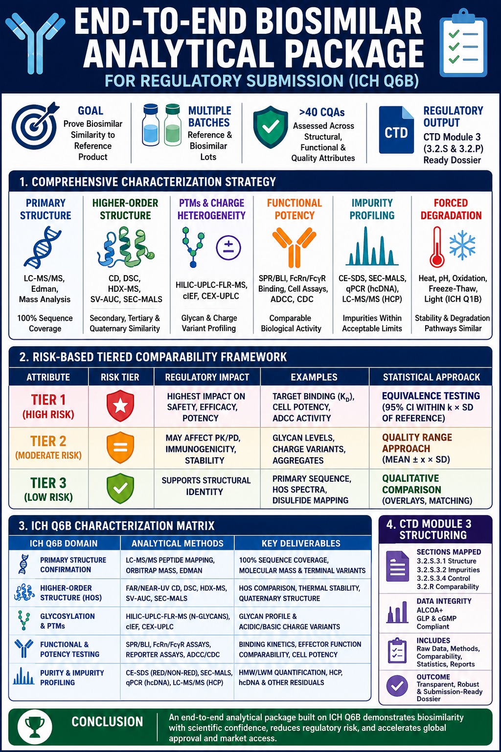 End-to-End Biosimilar Analytical Package for a Regulatory Submission