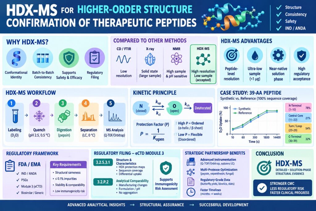 HDX-MS for Higher-Order Structure Confirmation