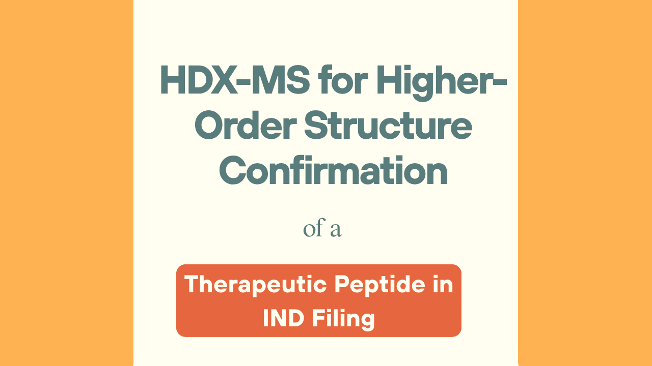 HDX-MS for Higher-Order Structure Confirmation