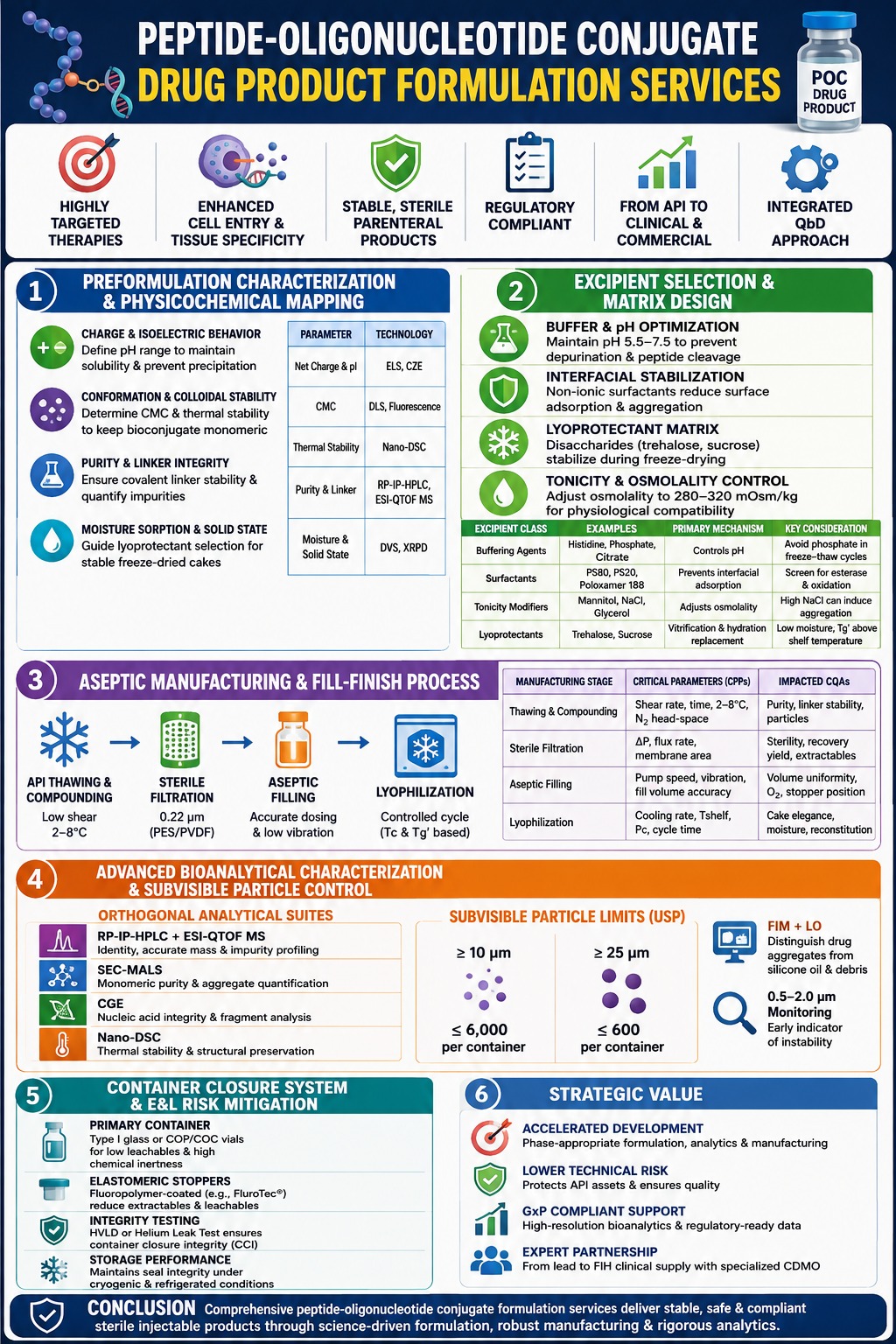 Peptide-Oligonucleotide Conjugate Drug Product Formulation Services