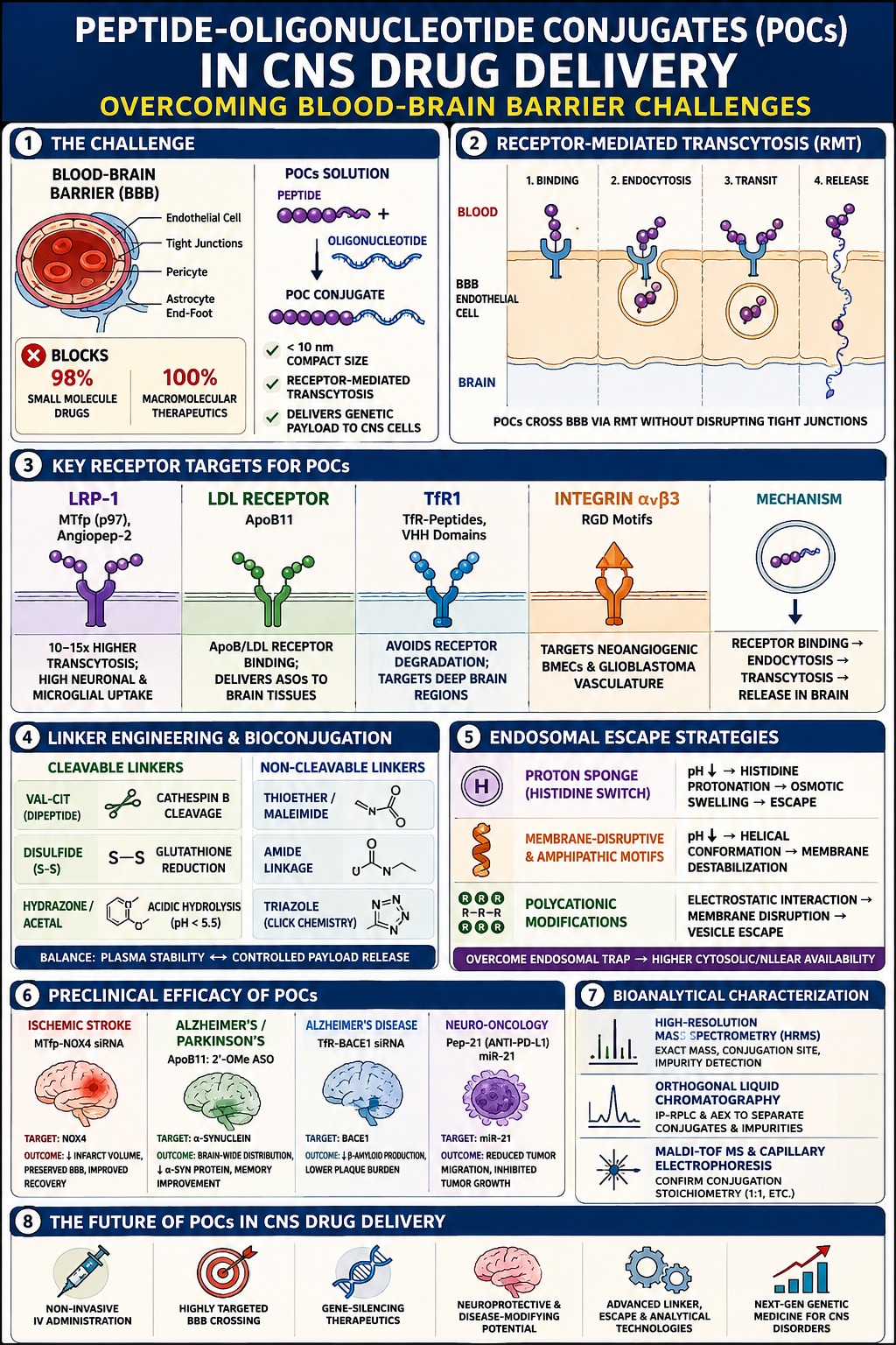 Peptide-Oligonucleotide Conjugate (POCs) in CNS Drug Delivery