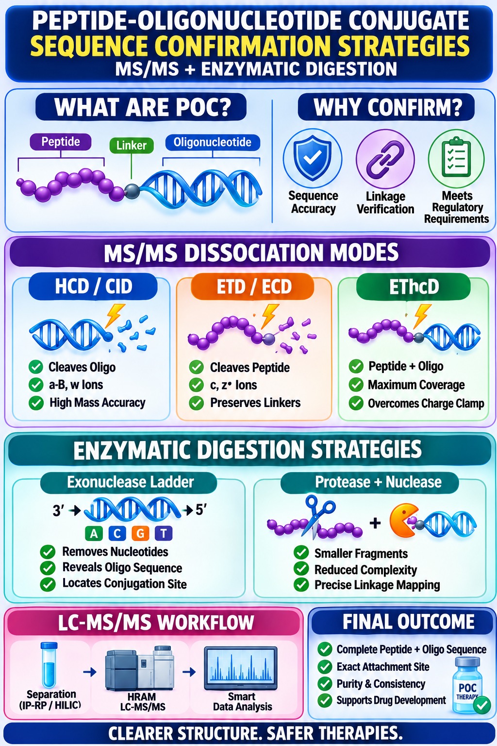 Peptide-Oligonucleotide Conjugate Sequence Confirmation Strategies