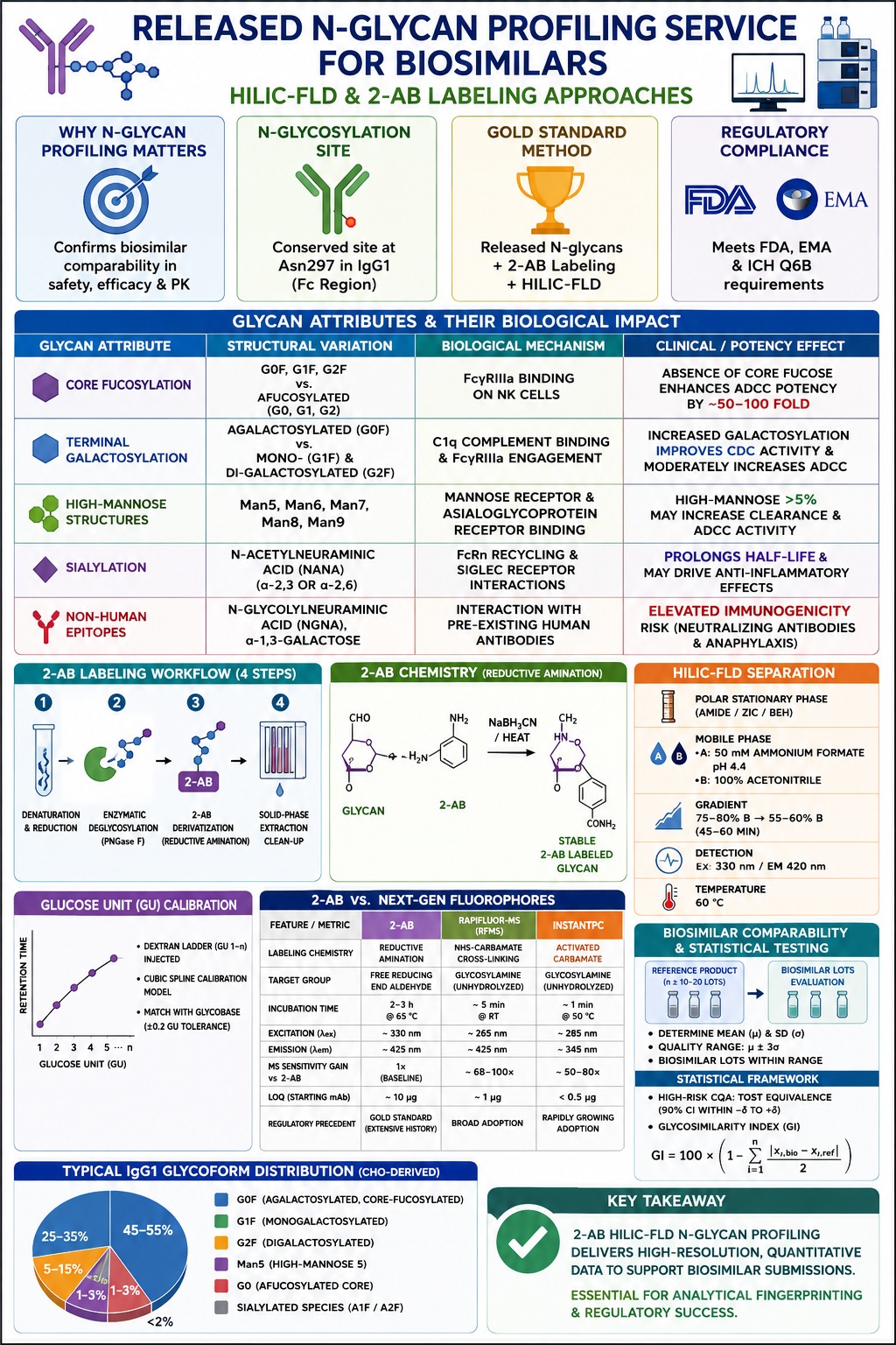 Released N-Glycan Profiling Service for Biosimilars