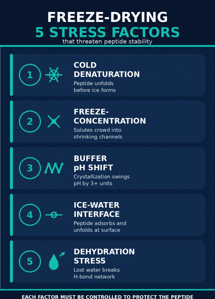 5 stress factors during freezing and drying