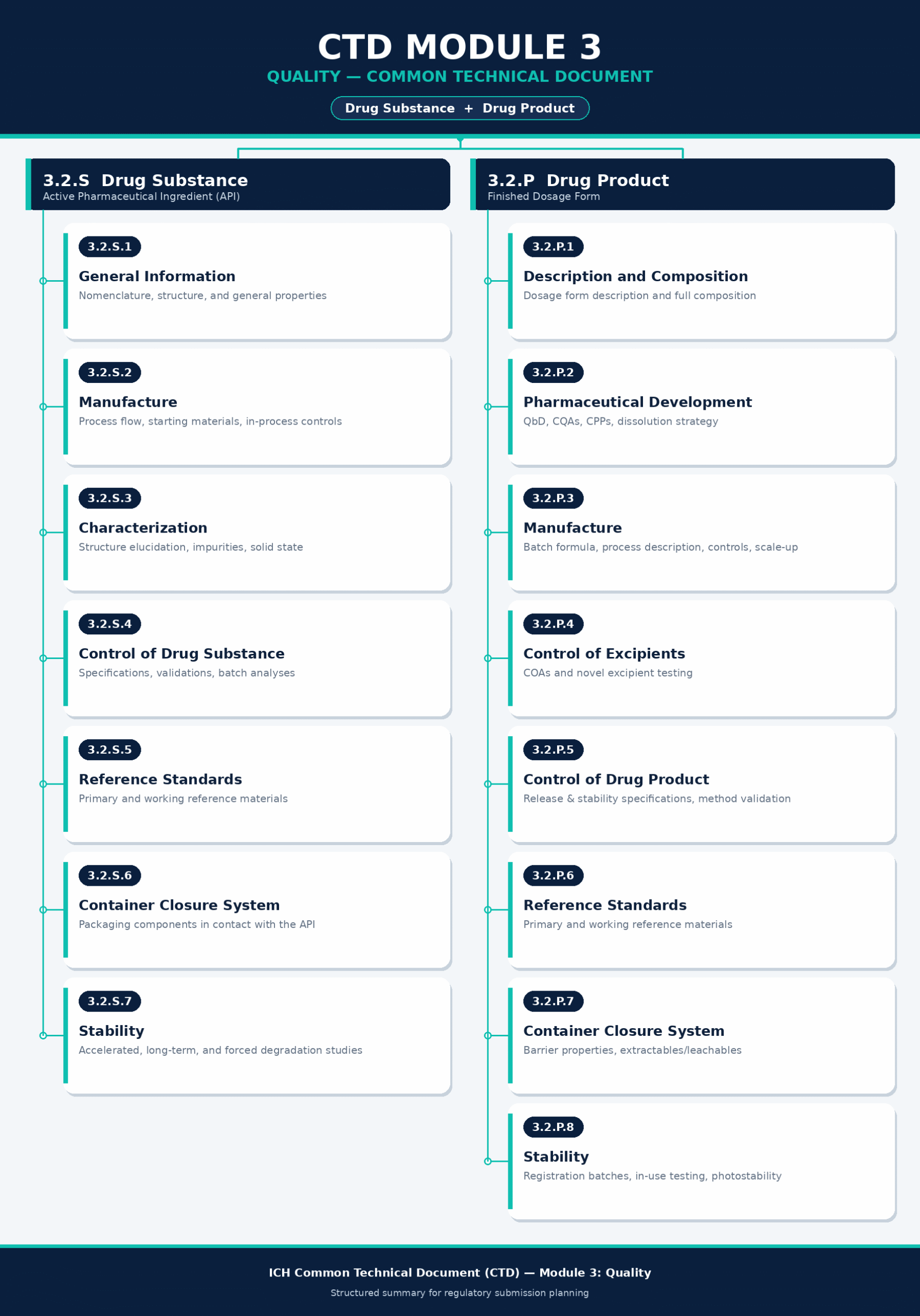 Module 3 Architecture: Overview of Sections S and P