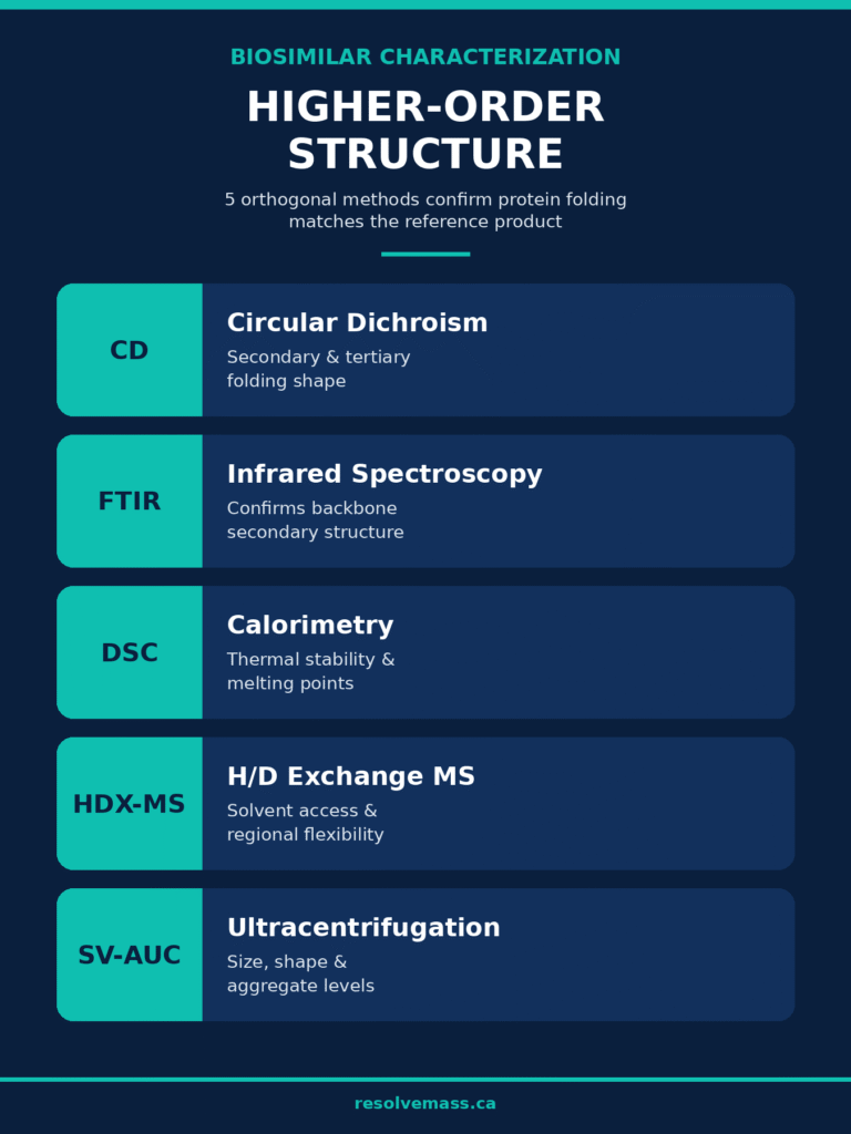 Higher-Order Structure (HOS) and Conformational Integrity