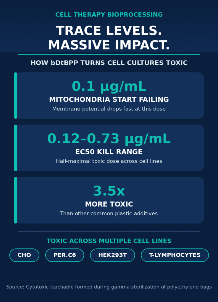 Mitigating Cytotoxic Leachables in Cell Therapy Expansion Media