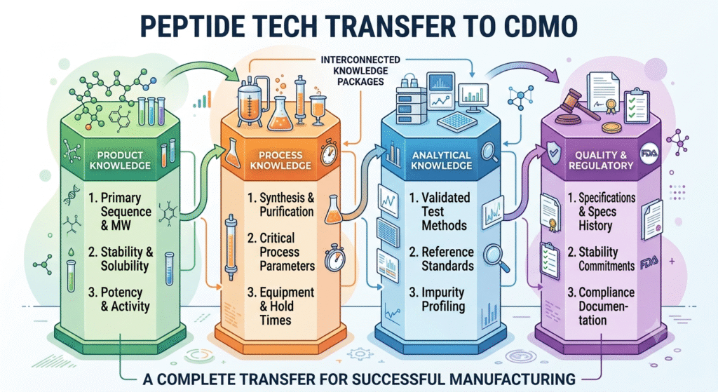 What Should Be Transferred During Peptide Technology Transfer to a CDMO?
