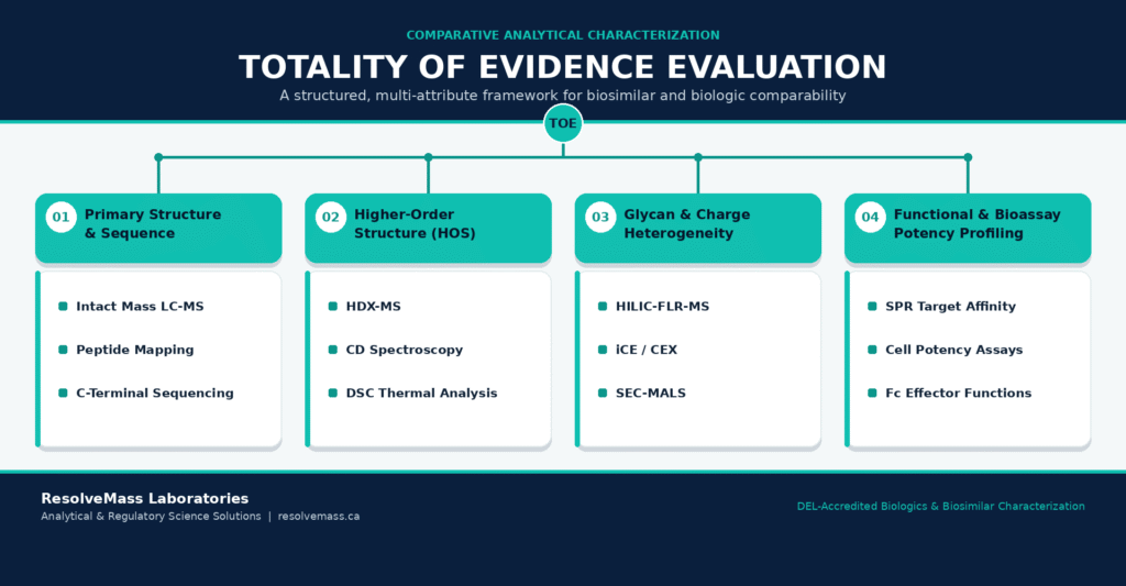 High-Resolution Analytical Characterization and Totality of Evidence