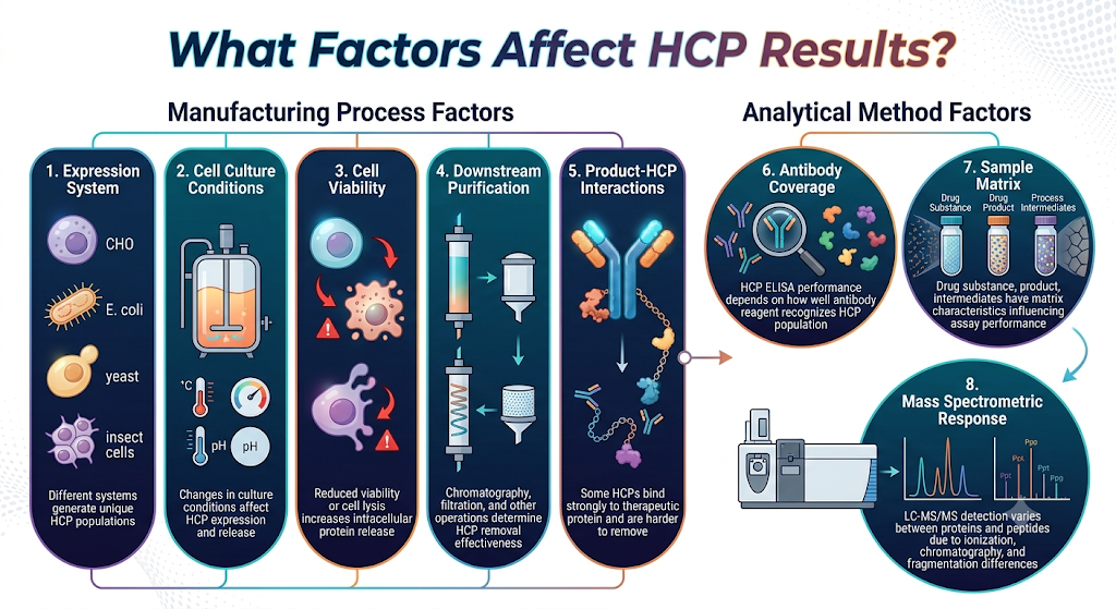 What Factors Affect HCP Results?