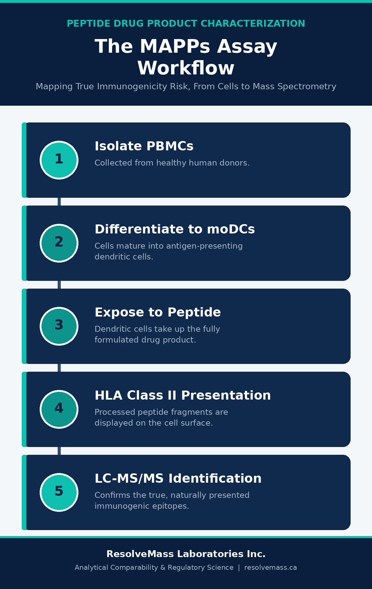 Assessing Immunogenicity Risk: MAPPs Assay and In Vitro Strategies